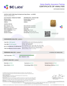 R_R_5mg_Dog_Chew_Lot_6005