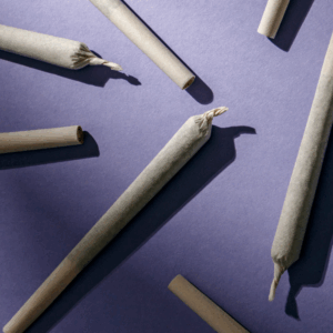 Several rolled cannabis joints arranged on a purple surface with shadows