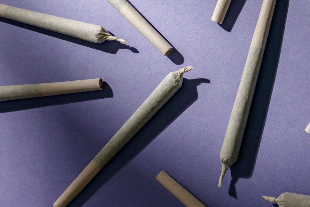 Several rolled cannabis joints arranged on a purple surface with shadows