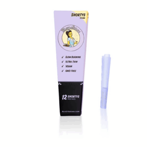 Blazy Susan - Purple Cones 12 pack