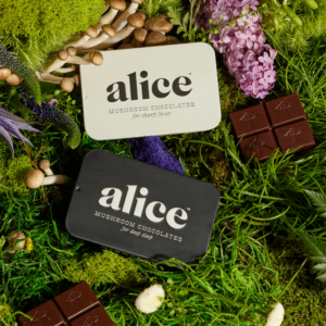 Alice Mushroom Chocolates